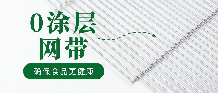 油炸機網(wǎng)帶“0 涂層”工藝,確保食品更健康