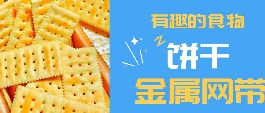 【有趣的食物】餅干到底用到多少金屬網(wǎng)帶？