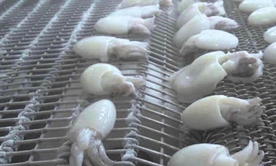 1745907049274090.jpg 冷凍墨魚(yú)仔.jpg